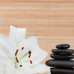 White hibiscus and a black pebbles stack