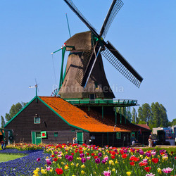 windmill in holland