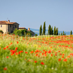 red italy