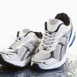 trainer