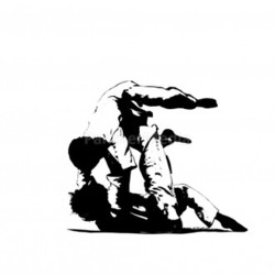 judo - tomoe-nage