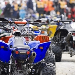 Quad