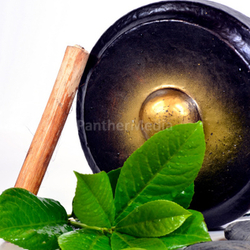 Wellness Gong Steine