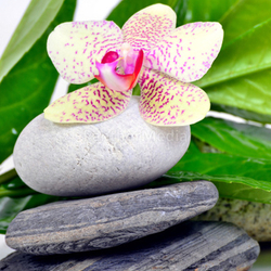 Wellness Gong Steine