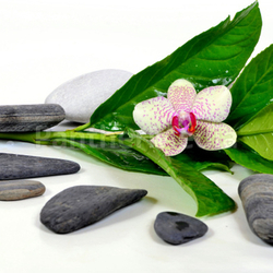 Wellness Gong Steine