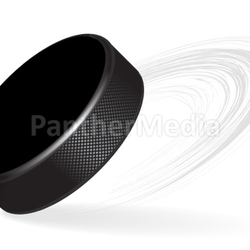 Hockey Puck