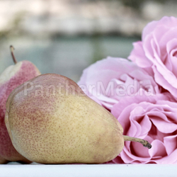 Lovely roses and pears in the garden 