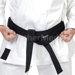 Martial arts pose