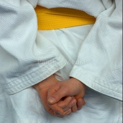 Judo Kämpfer