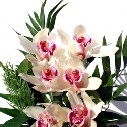 blumenstengel plant bloom flourish leaves flourishing stem