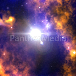 Stardust