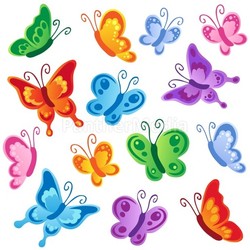 Various butterflies collection 1