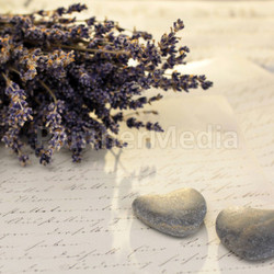 stone hearts and lavender