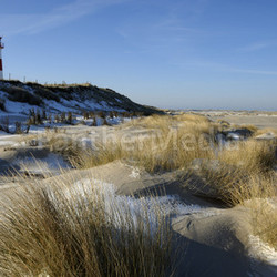 scenery sea nordfriesland sunny coast water schleswigholstein