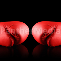 box sport 1