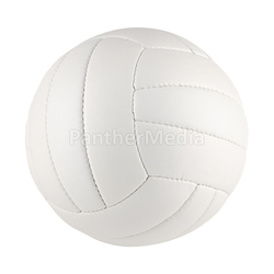 volleyball white