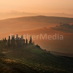 tuscan morning