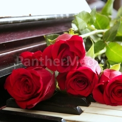 classic red roses on piano vintage romantic valentines