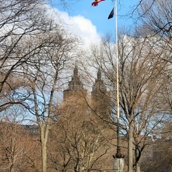 central park new york
