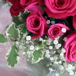 congratulation