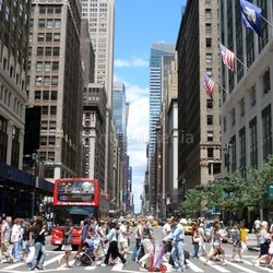 life in the big apple